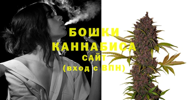 молекула духа Горно-Алтайск